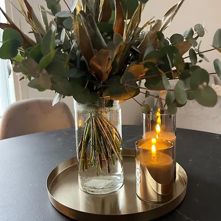 Polar Prestige By R&k Daire Rovaniemi